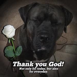 Meet your Posher, Lee